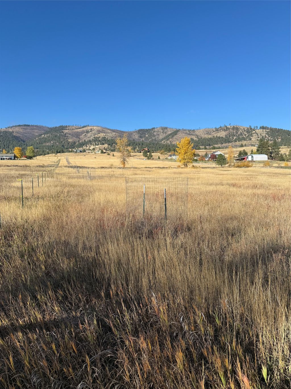 Photo of 16350 Queen Anne Lane Lane, Florence, MT 59833 (MLS # 30039422)