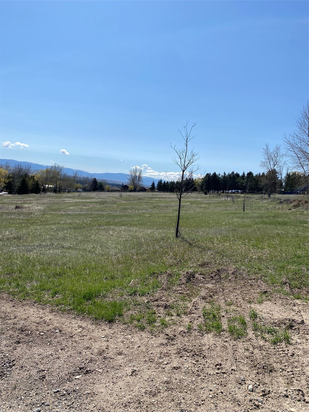 Photo of 16350 Queen Anne Lane Lane, Florence, MT 59833 (MLS # 30039422)
