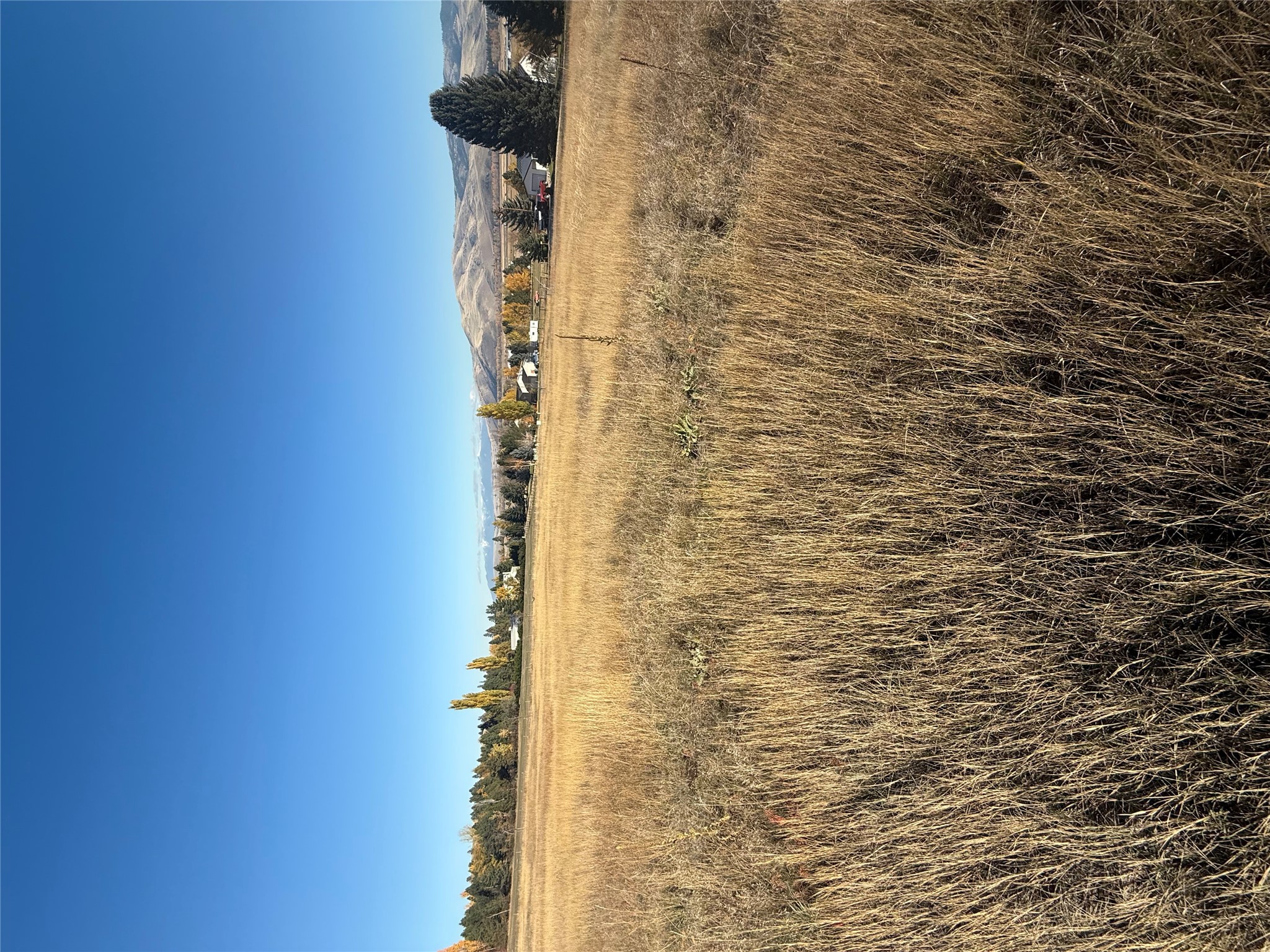 NHN Queen Ann's Lane