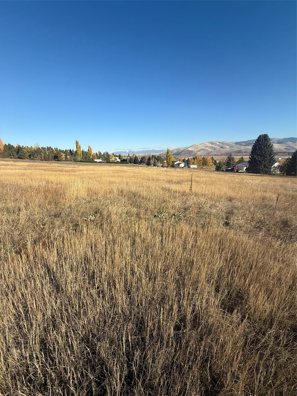 Photo of 16350 Queen Anne Lane Lane, Florence, MT 59833 (MLS # 30039422)