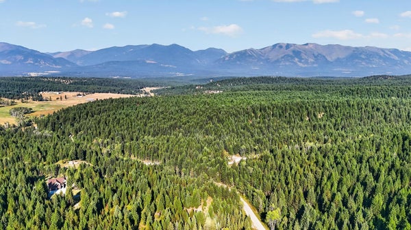 3 FOREST LOOP RD, FORTINE, MT 59918 - Image fe4b1609697e80cd397bae2a3d90effc/1018569454