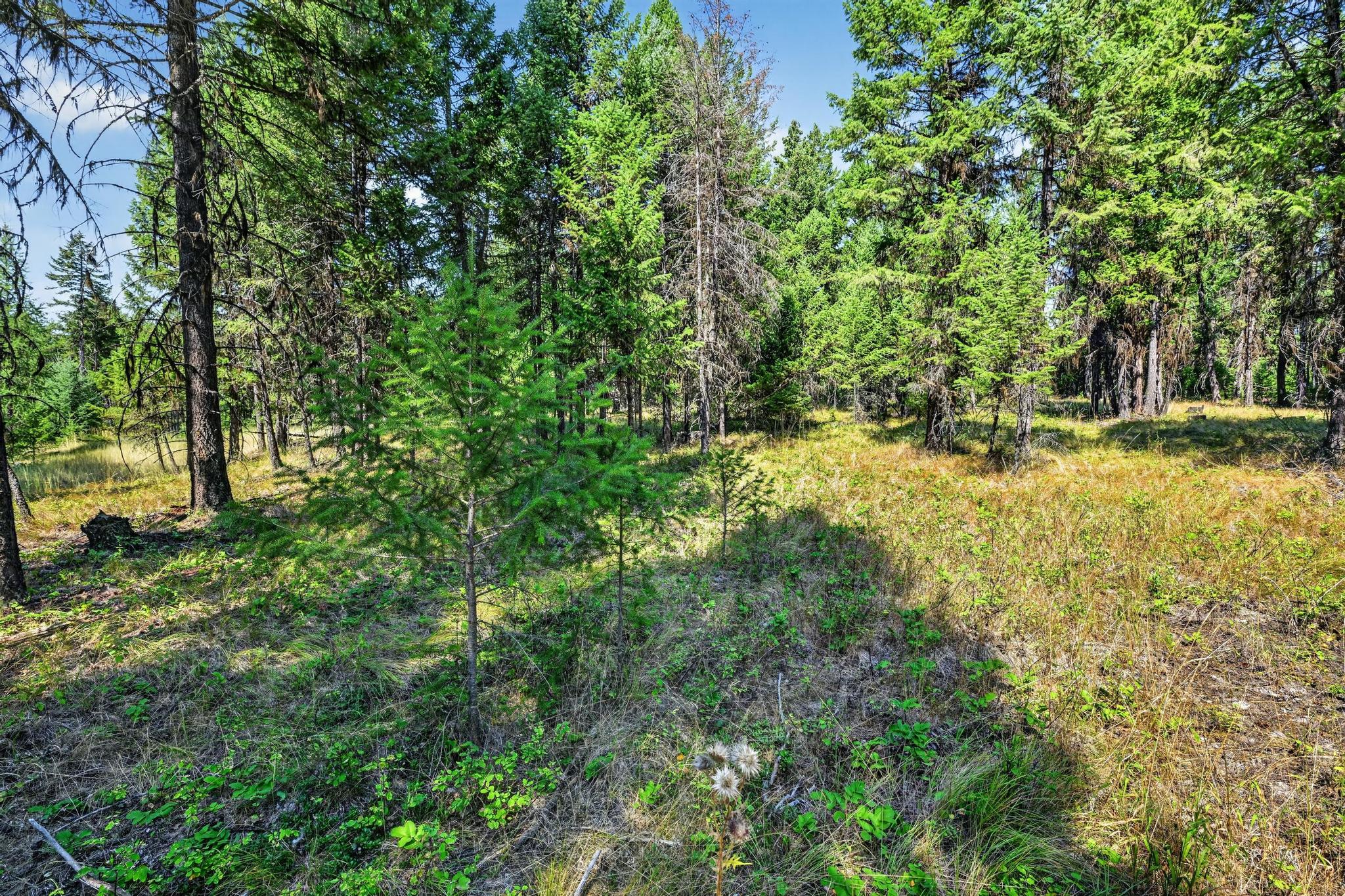 Lot 3 Forest Ridge Road