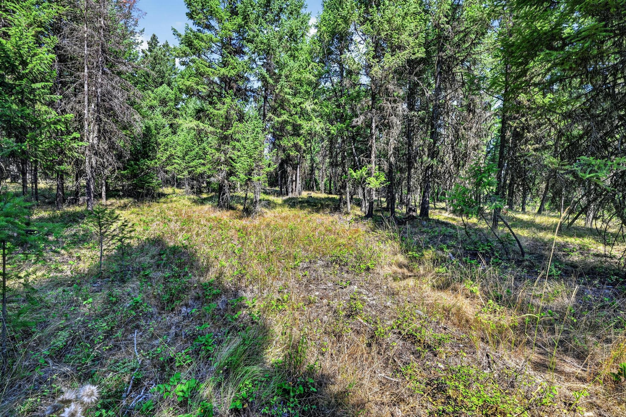 Lot 3 Forest Ridge Road