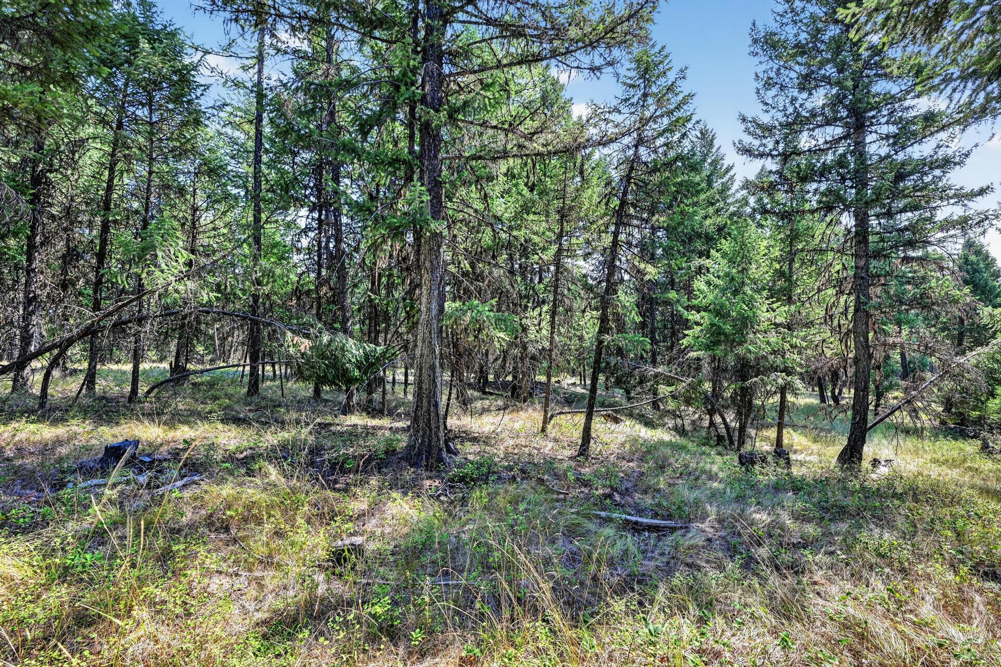 Lot 3 Forest Ridge Road