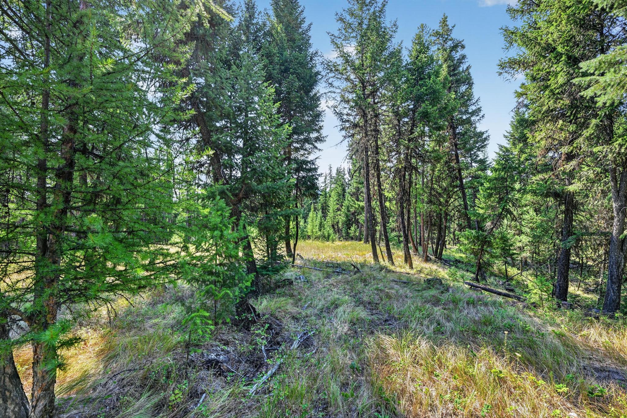 Lot 3 Forest Ridge Road