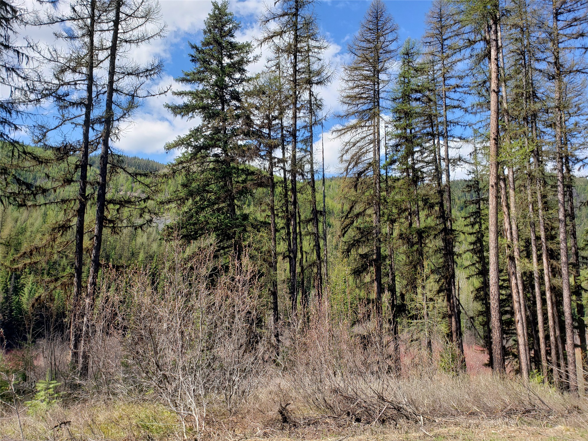 Tract 3 Nine Mile Road