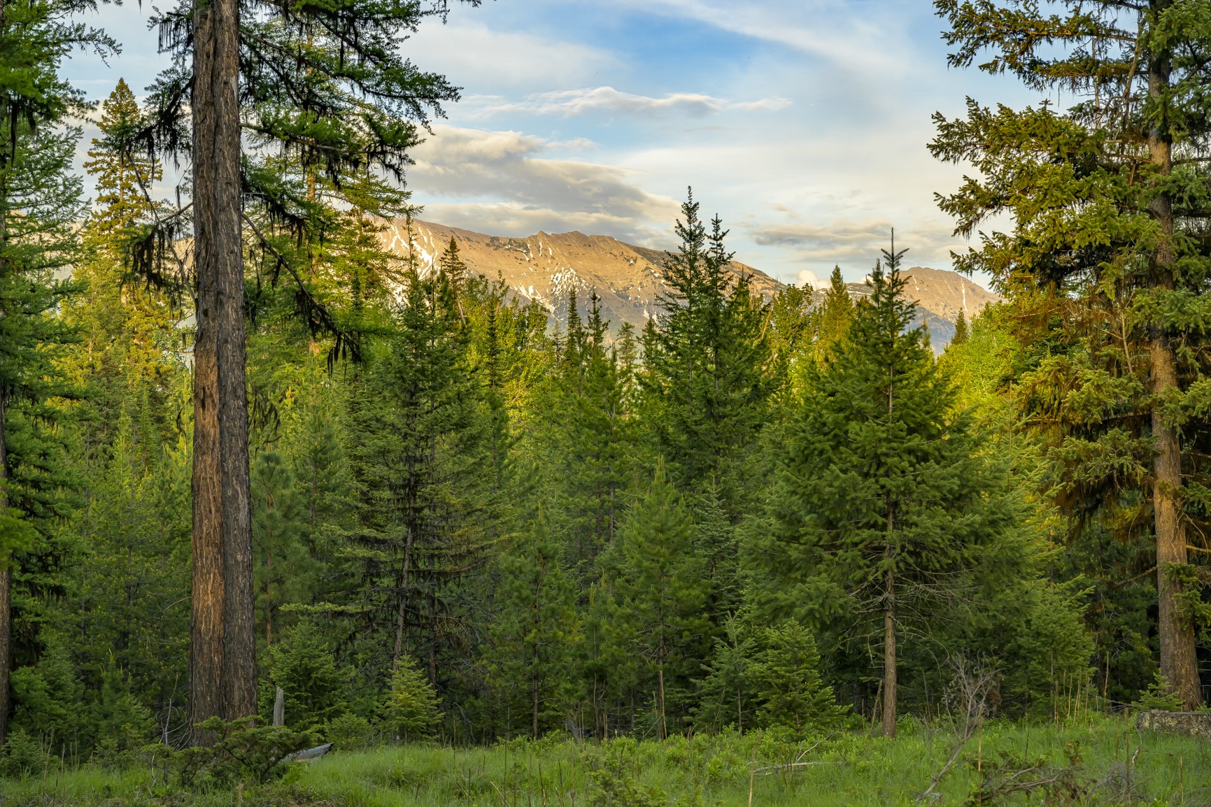 NHN Lindbergh Lake Road