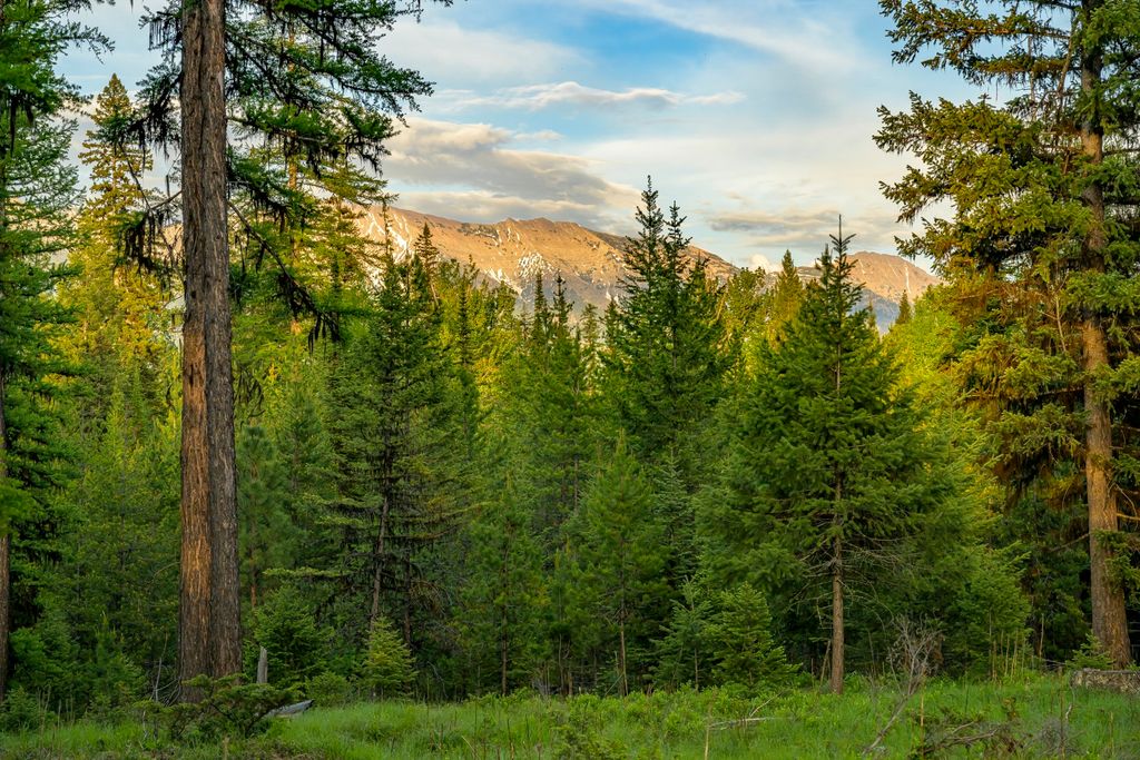 Photo of NHN Lindbergh Lake Road, Condon, MT 59826 (MLS # 30065781)