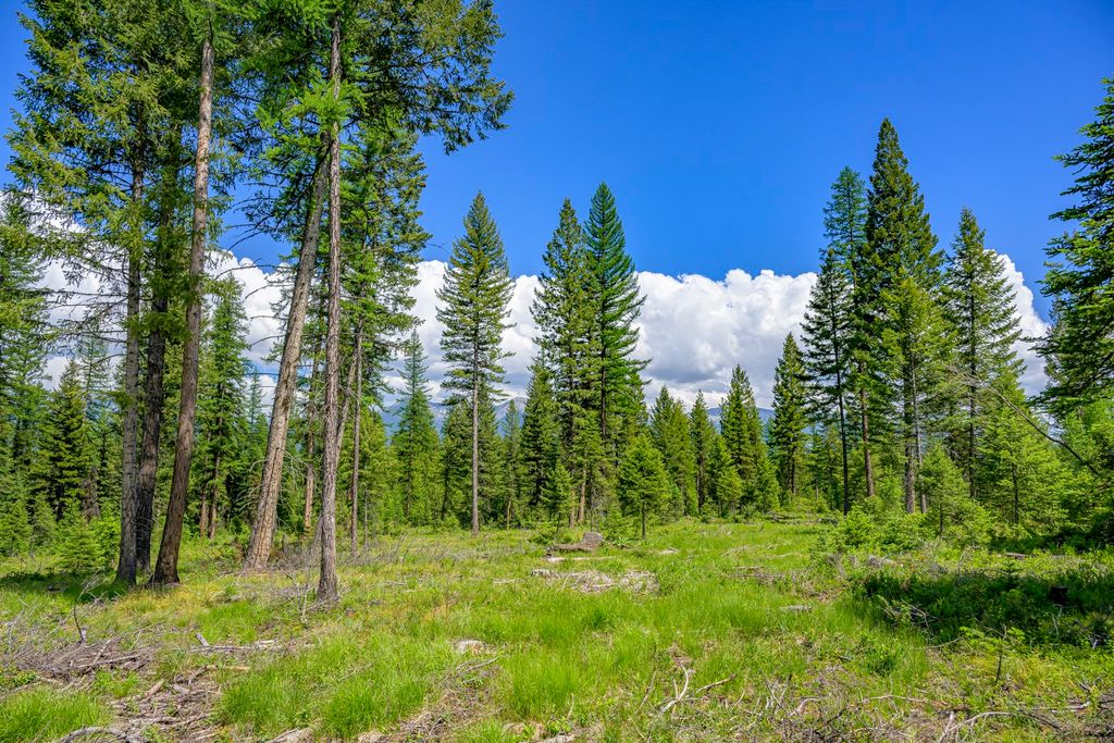 Photo of NHN Lindbergh Lake Road, Condon, MT 59826 (MLS # 30065781)