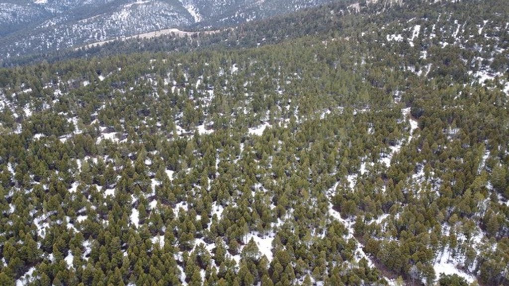 Photo of TBD Turk Road, Helena, MT 59602 (MLS # 30066287)