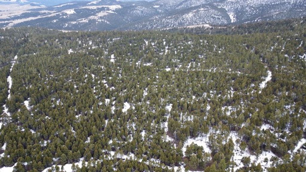 Photo of TBD Turk Road, Helena, MT 59602 (MLS # 30066287)