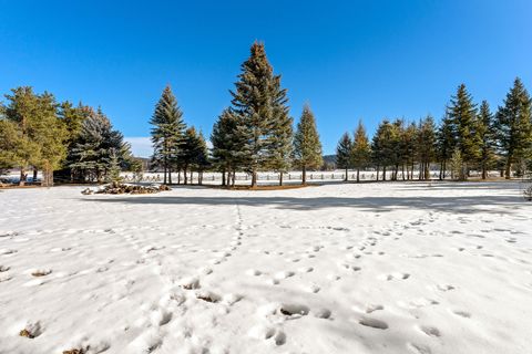 Tiny photo for 388 Old Ranch Road, Whitefish, MT 59937 (MLS # 30064108)