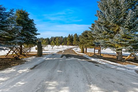 Tiny photo for 388 Old Ranch Road, Whitefish, MT 59937 (MLS # 30064108)