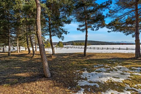 Tiny photo for 388 Old Ranch Road, Whitefish, MT 59937 (MLS # 30064108)