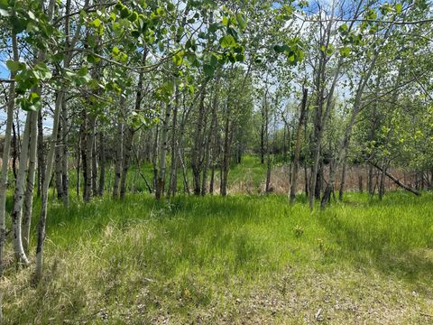 Tiny photo for 803 Two Mile Drive, Kalispell, MT 59901 (MLS # 30067840)