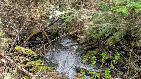 Tiny photo for NHN Eagle Rock Road, Whitefish, MT 59937 (MLS # 30070241)