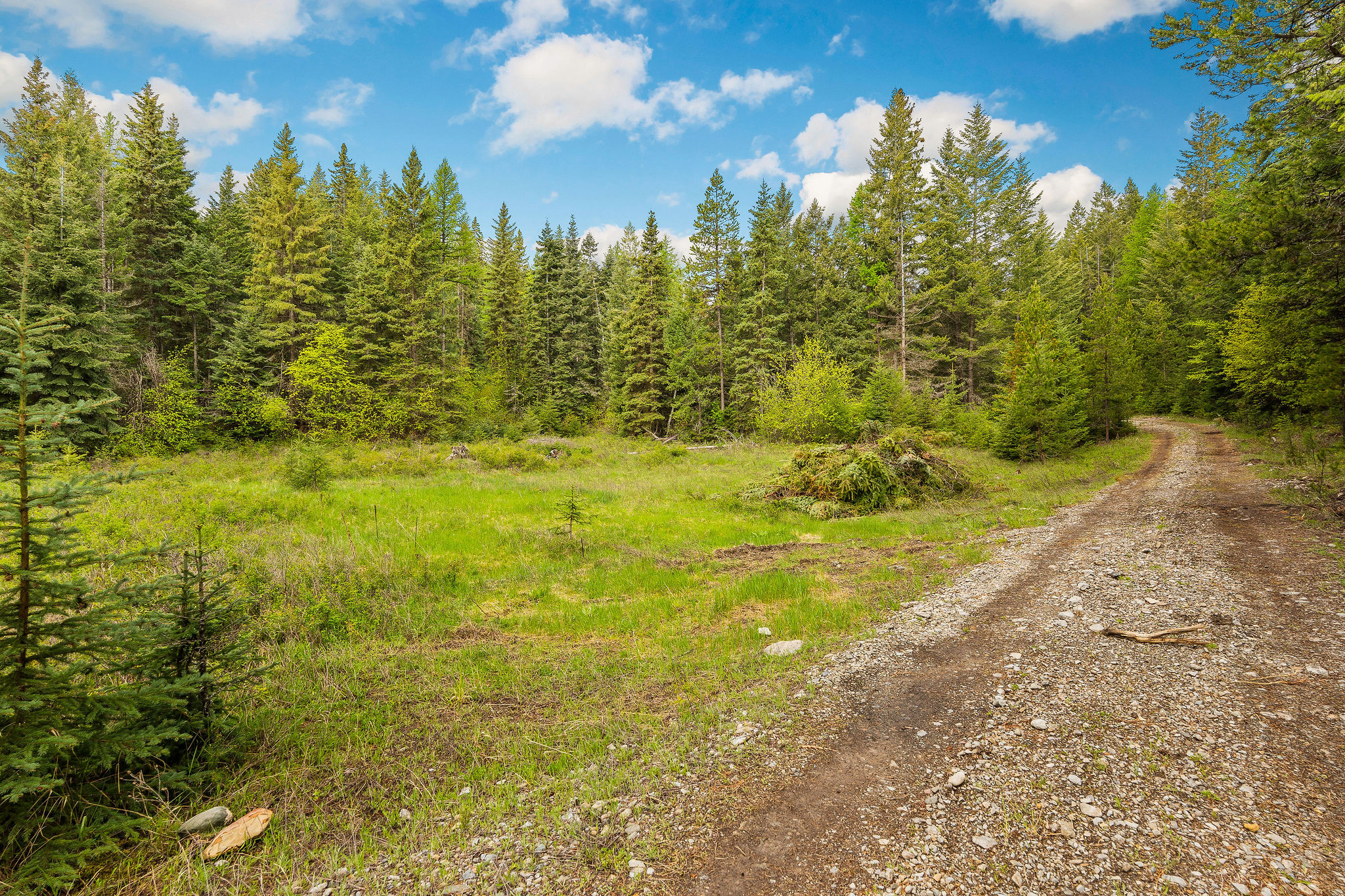 1520 Bierney Creek Road