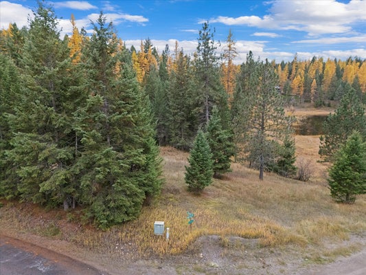 135 TAMARACK DR, KALISPELL, MT 59901 - Image ffceac71a9dc1de245ac21acb6b0cc21/3398472467
