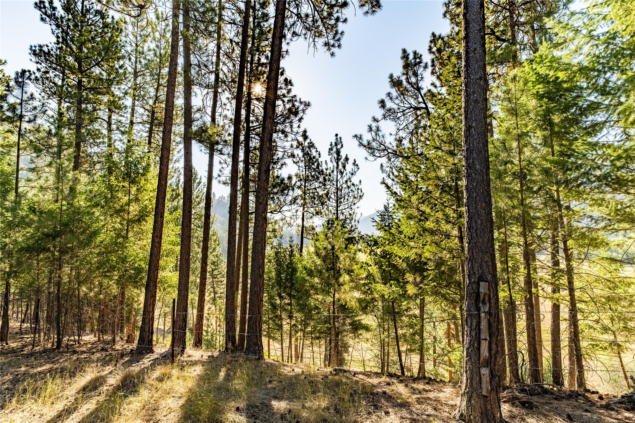 14297 Caddisfly Court