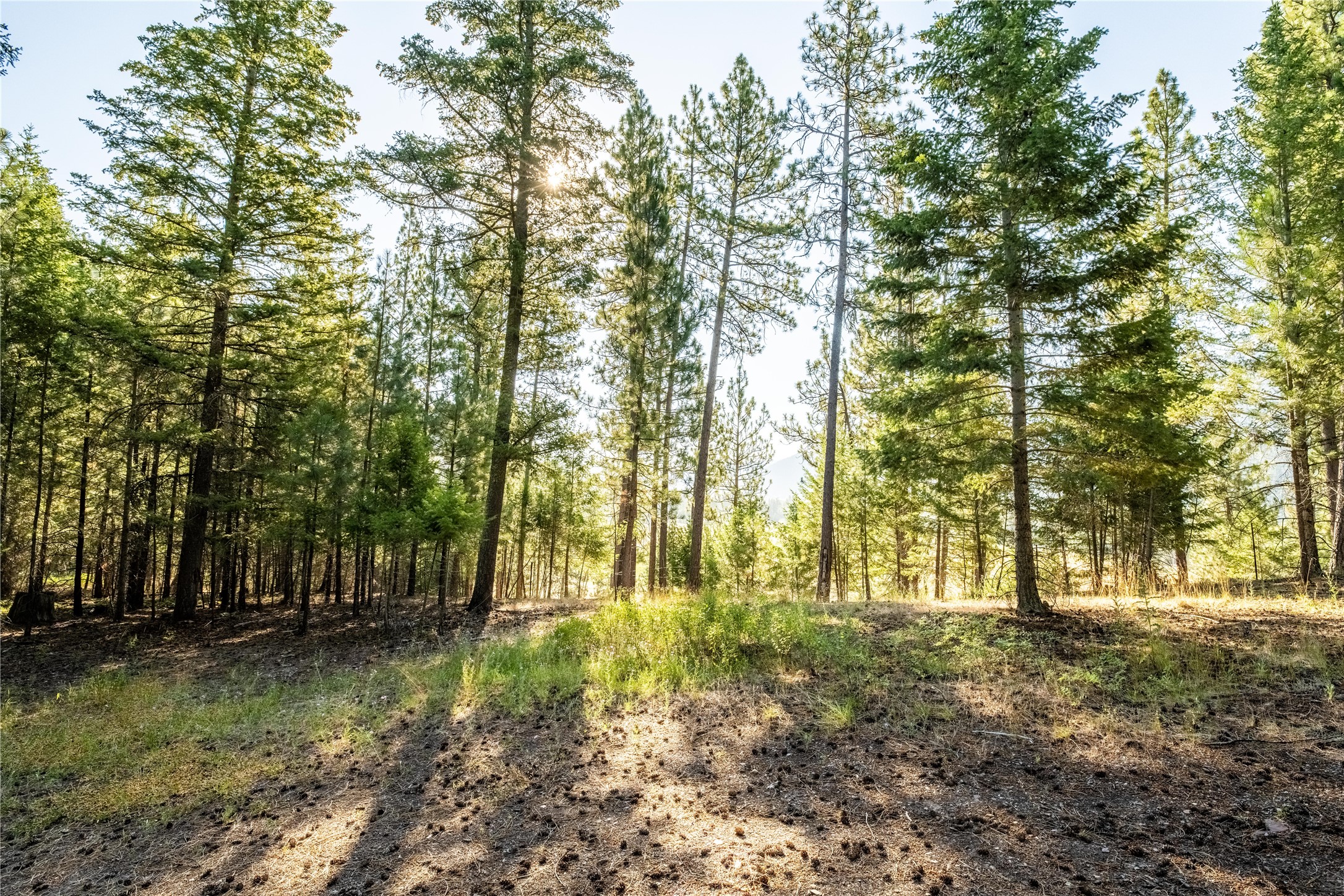 14297 Caddisfly Court