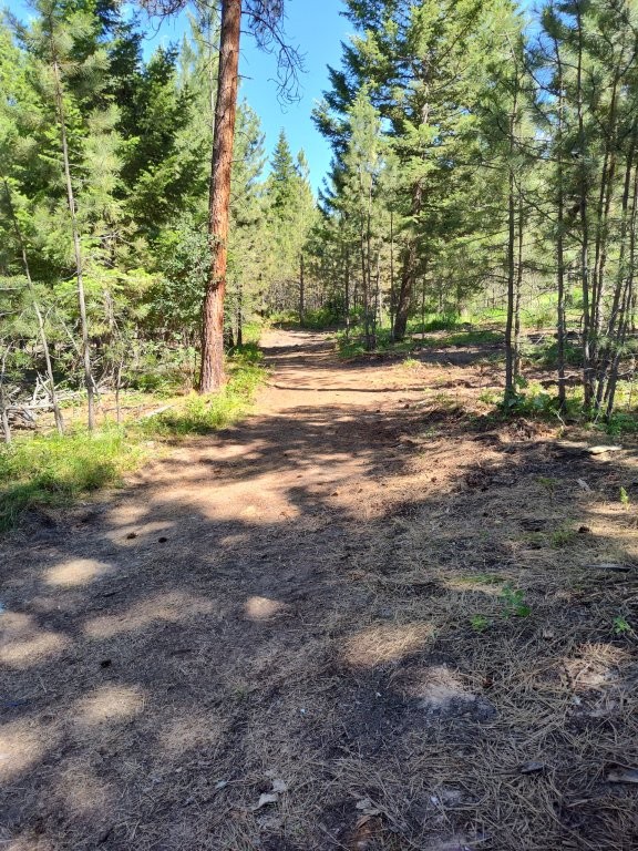 1825 Copper Cliff Drive