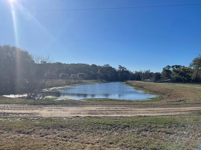 4750 River Road #A  A1, Charleston, South Carolina image 4