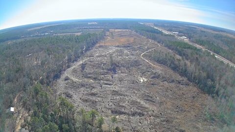 Vacant Land For Sale - TBD Log Cabin Lane<br/> Calhoun County, Saint Matthews, SC 29135