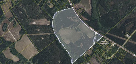 Vacant Land For Sale - 4391 Highway 176 Road<br/> Ridgeville, SC 29472