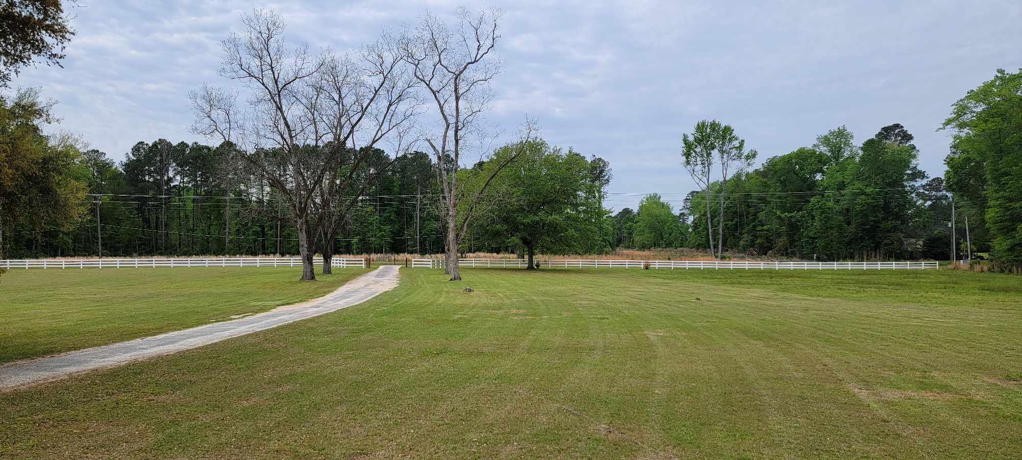 Cypress Gardens Road, Moncks Corner, South Carolina image 17