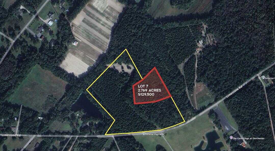 00 Limestone, Dorchester, South Carolina image 1