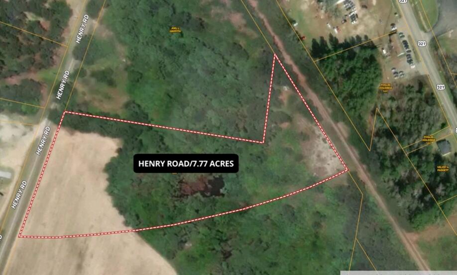 Henry Road, Neeses, South Carolina image 5