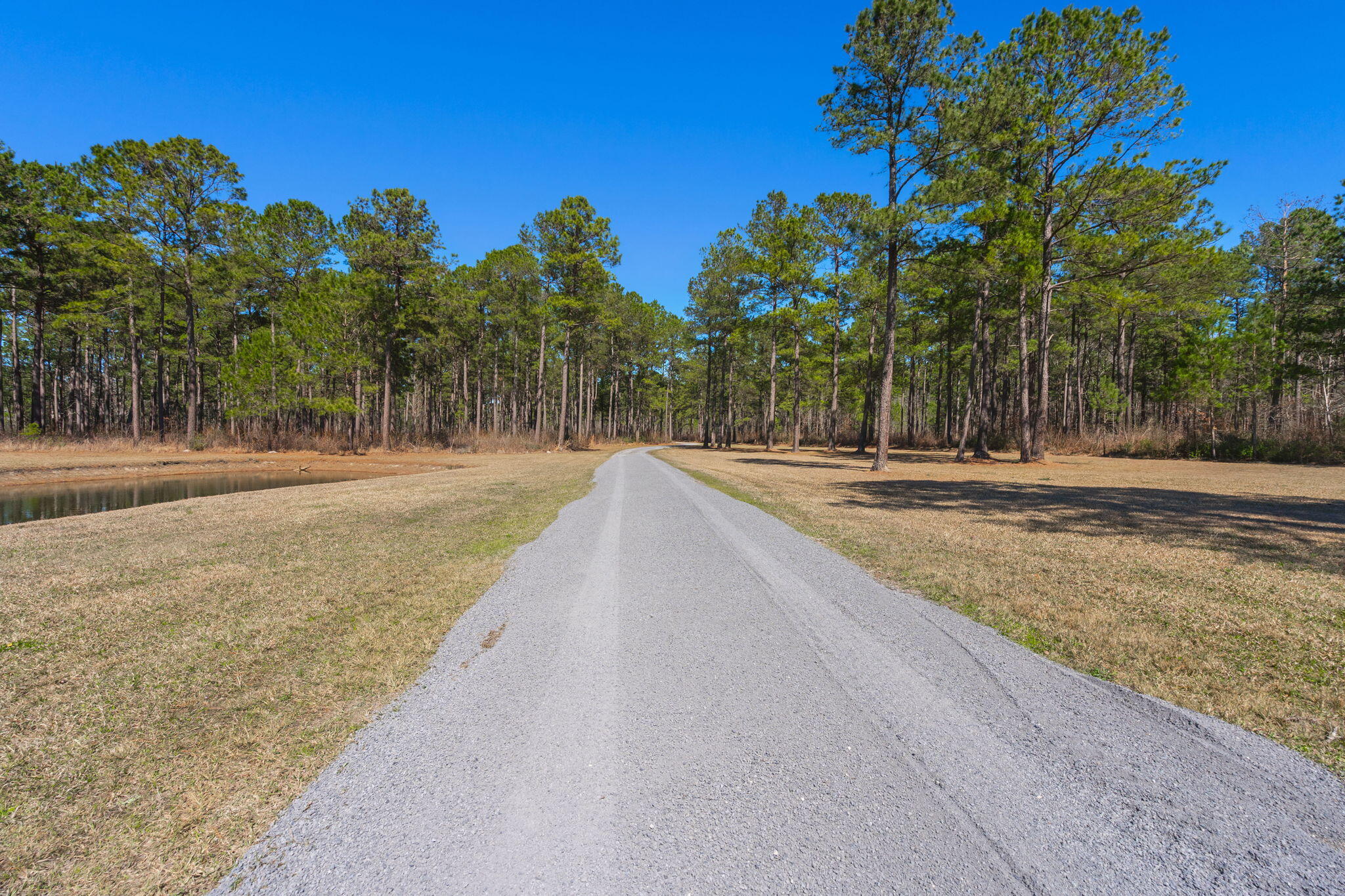 732 Lindhaven Drive, Pineville, South Carolina image 9
