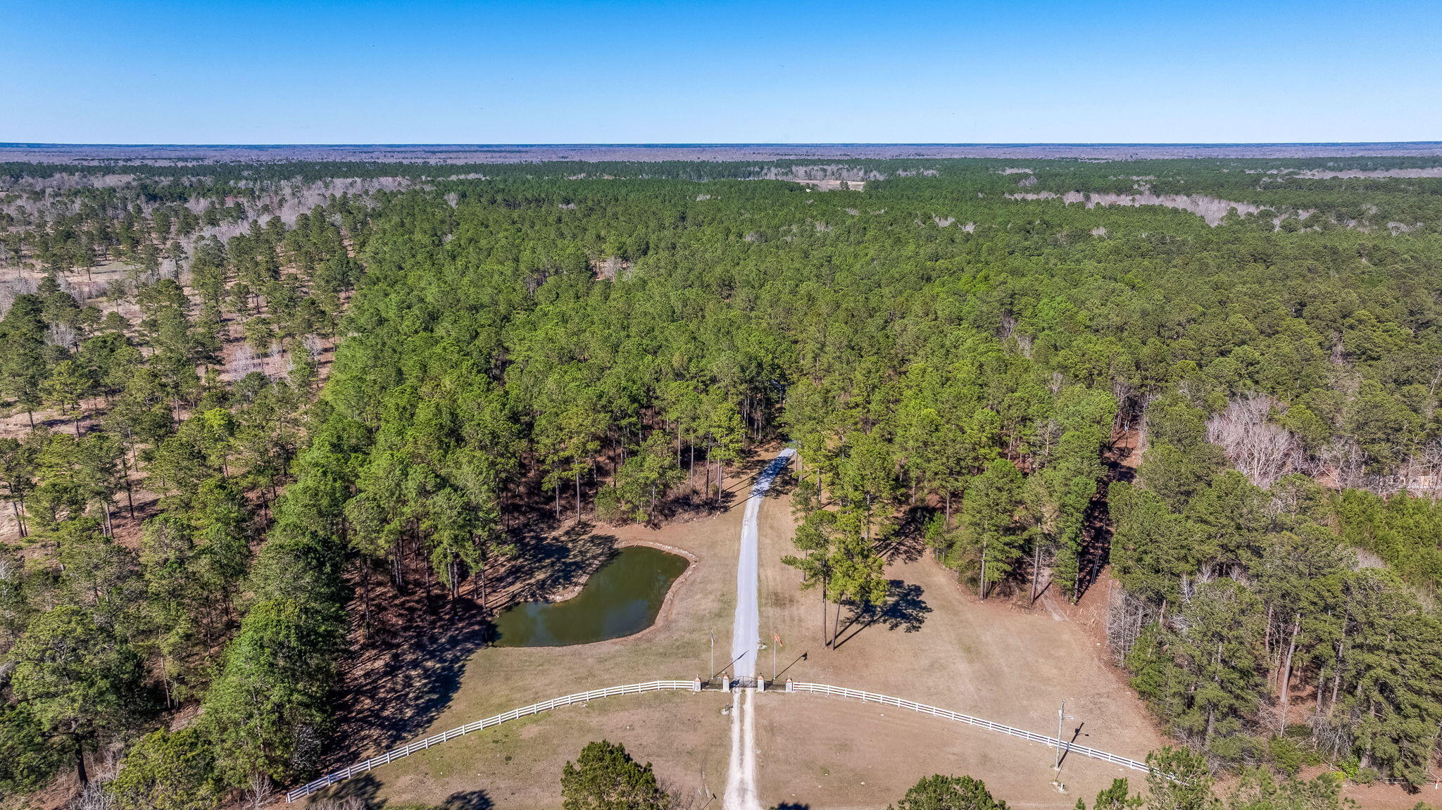 732 Lindhaven Drive, Pineville, South Carolina image 6