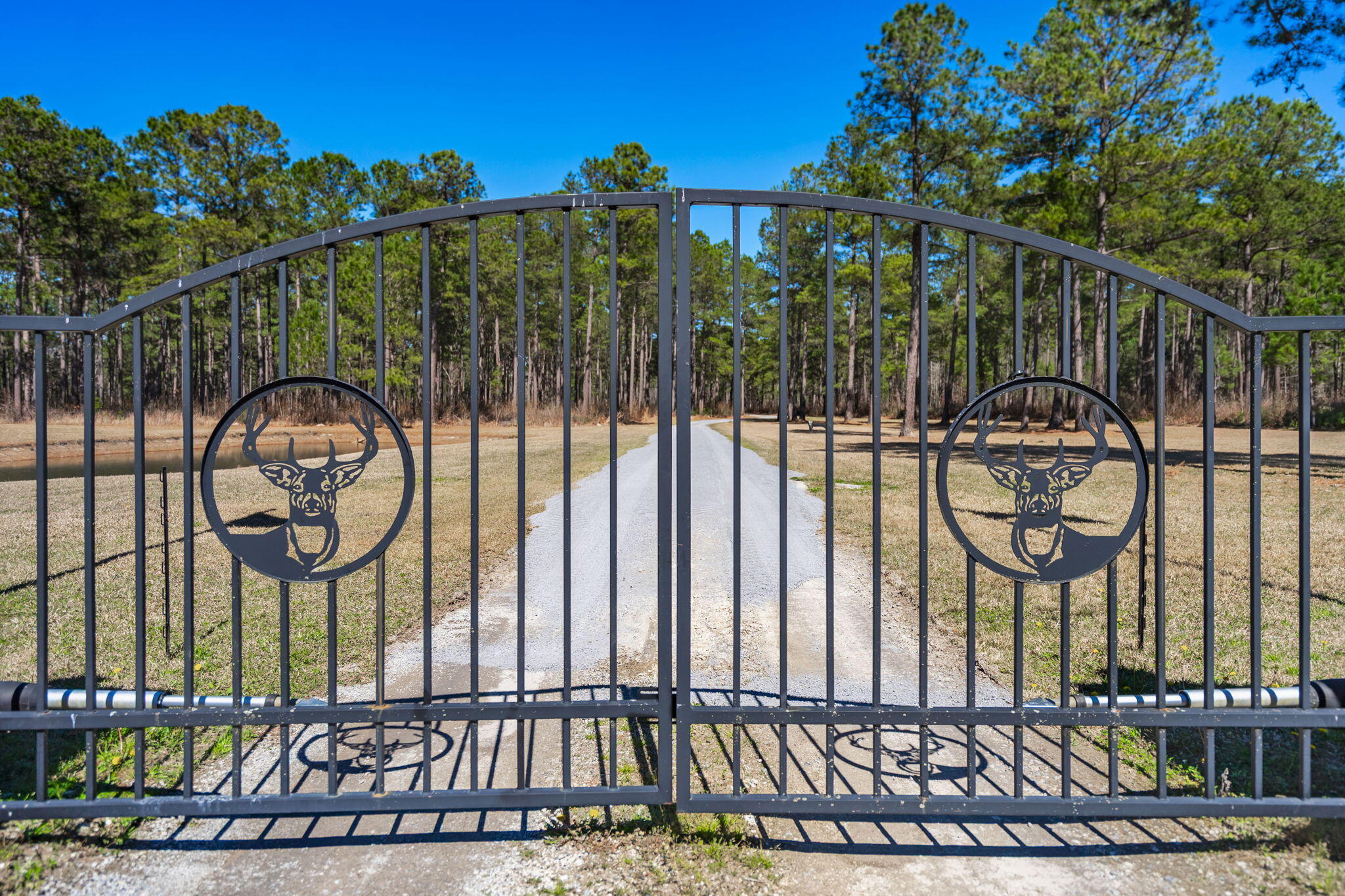 732 Lindhaven Drive, Pineville, South Carolina image 8