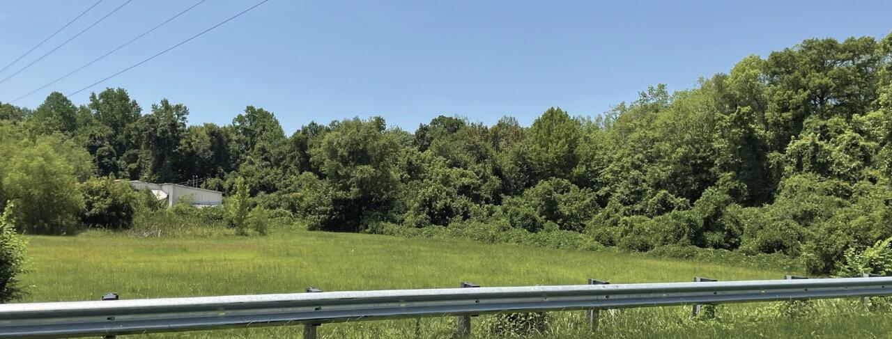Greeleyville Highway, Manning, South Carolina image 16