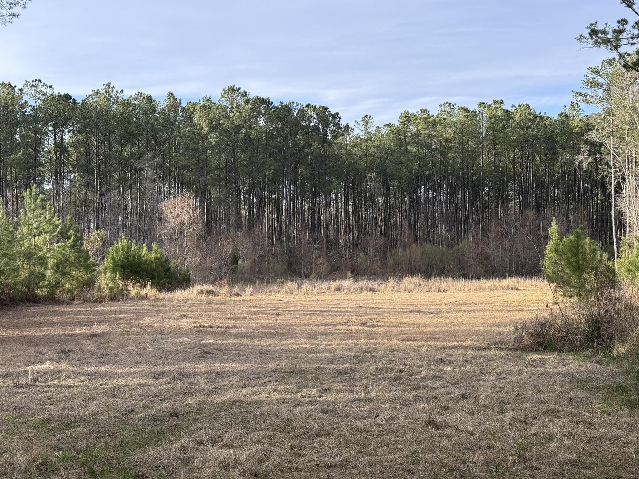 536 Bertha Lane, Huger, South Carolina image 4