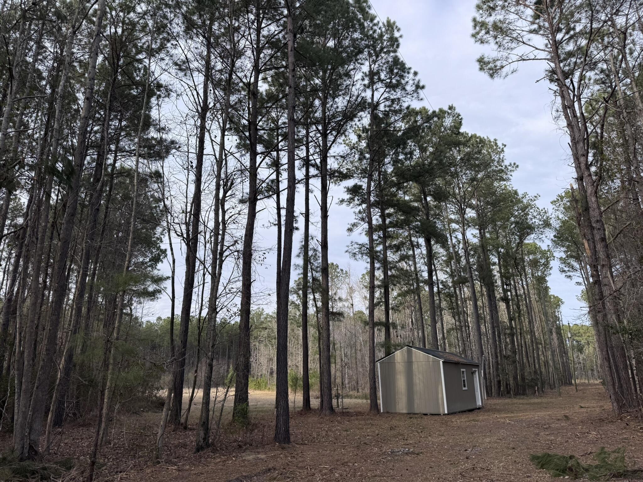 536 Bertha Lane, Huger, South Carolina image 16