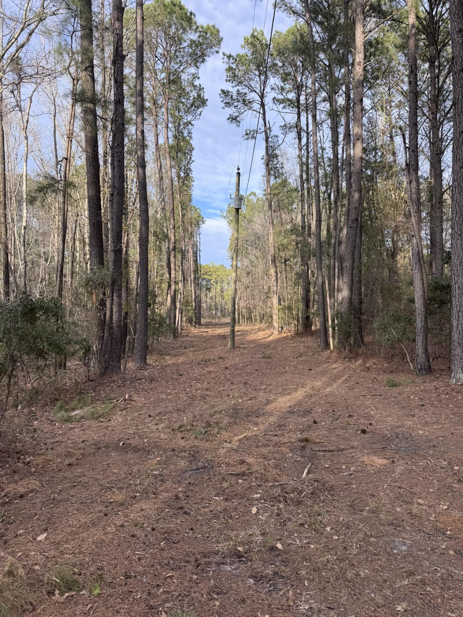 536 Bertha Lane, Huger, South Carolina image 7