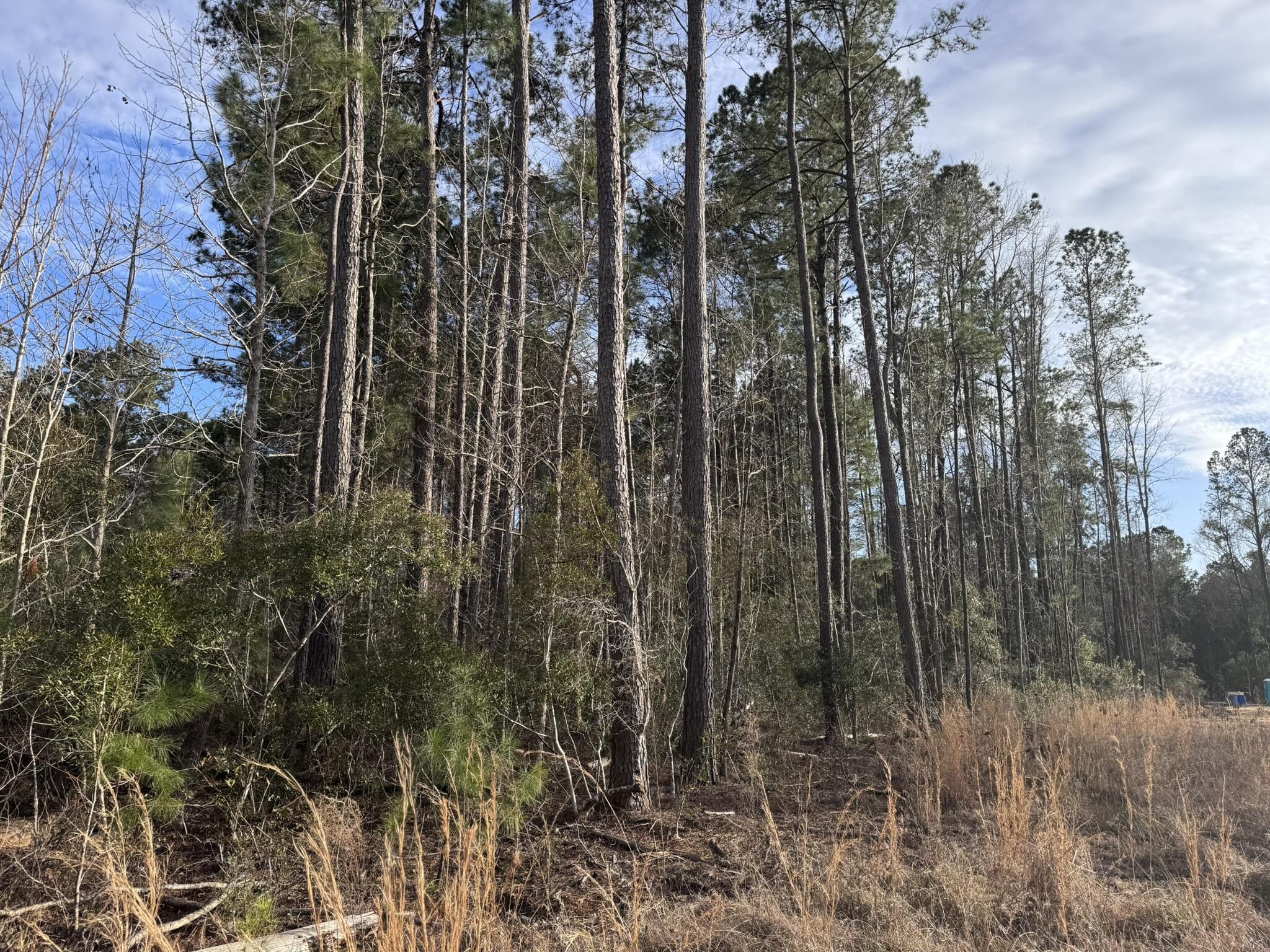 536 Bertha Lane, Huger, South Carolina image 14