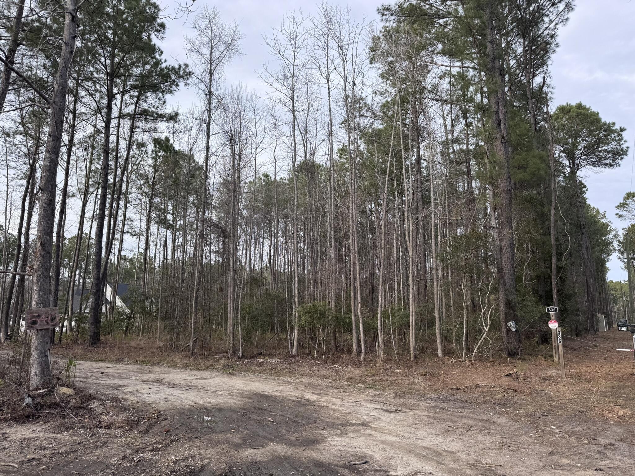 536 Bertha Lane, Huger, South Carolina image 19