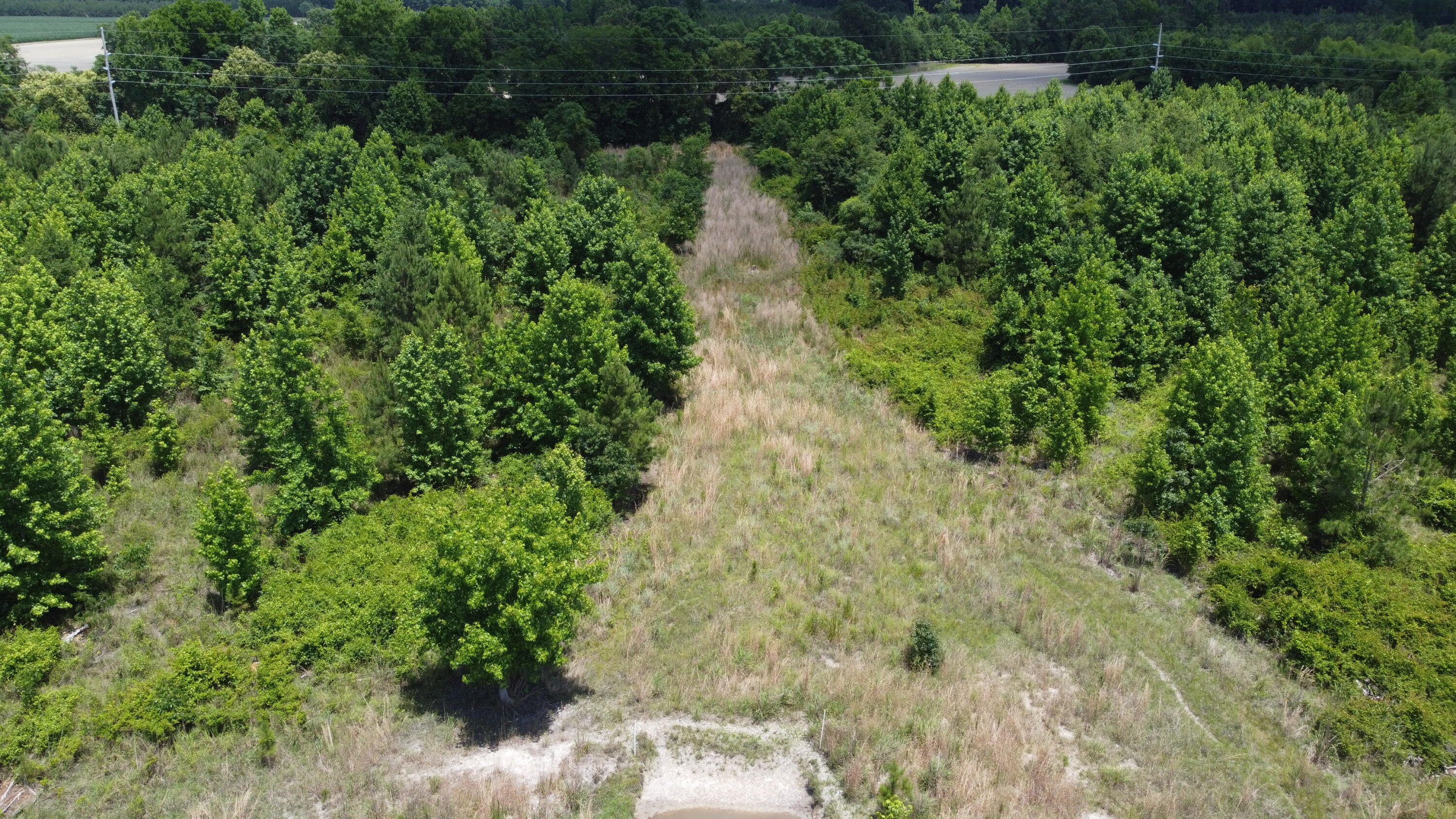 Nates Store Road, Cameron, South Carolina image 18