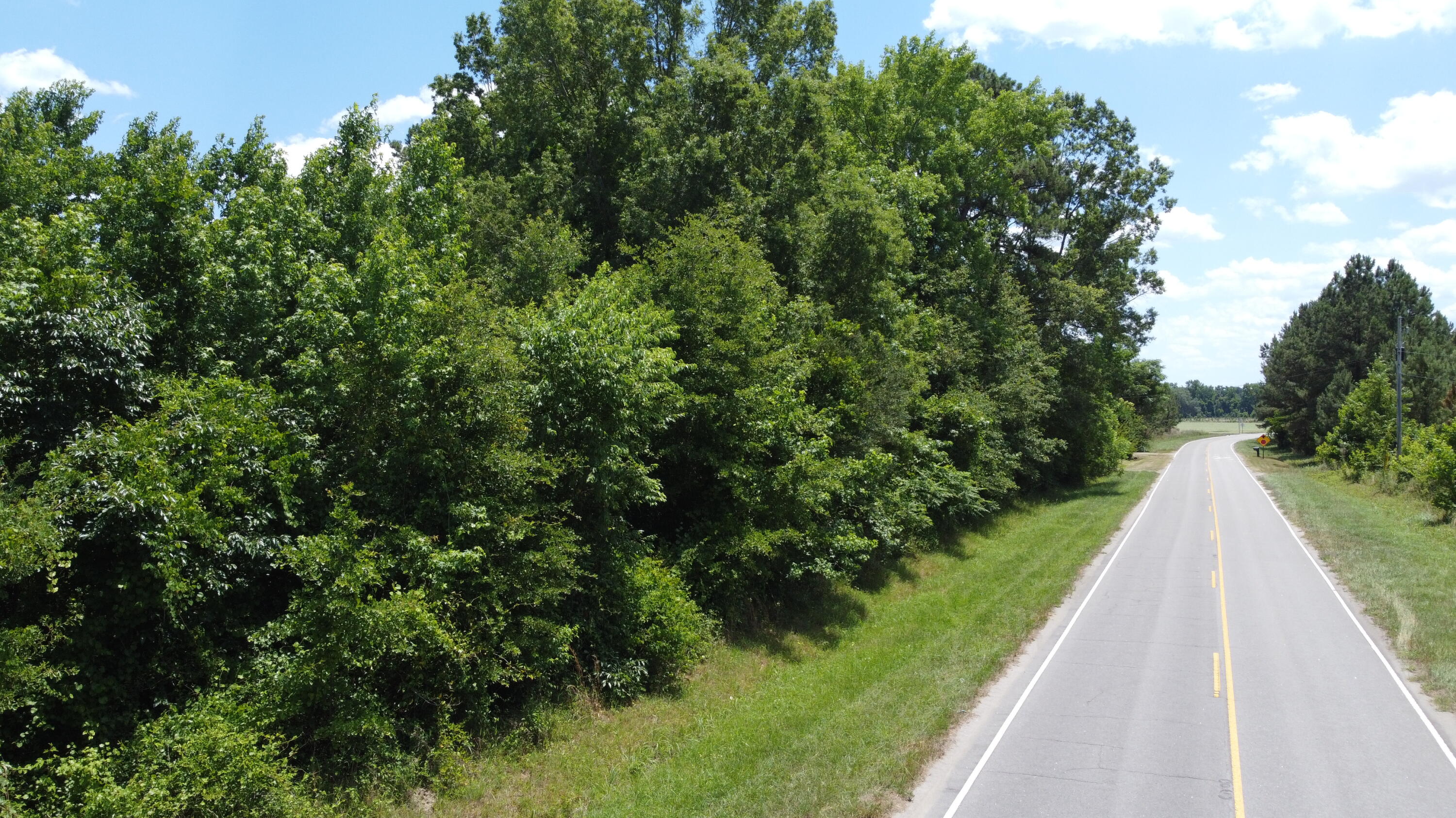 Nates Store Road, Cameron, South Carolina image 27