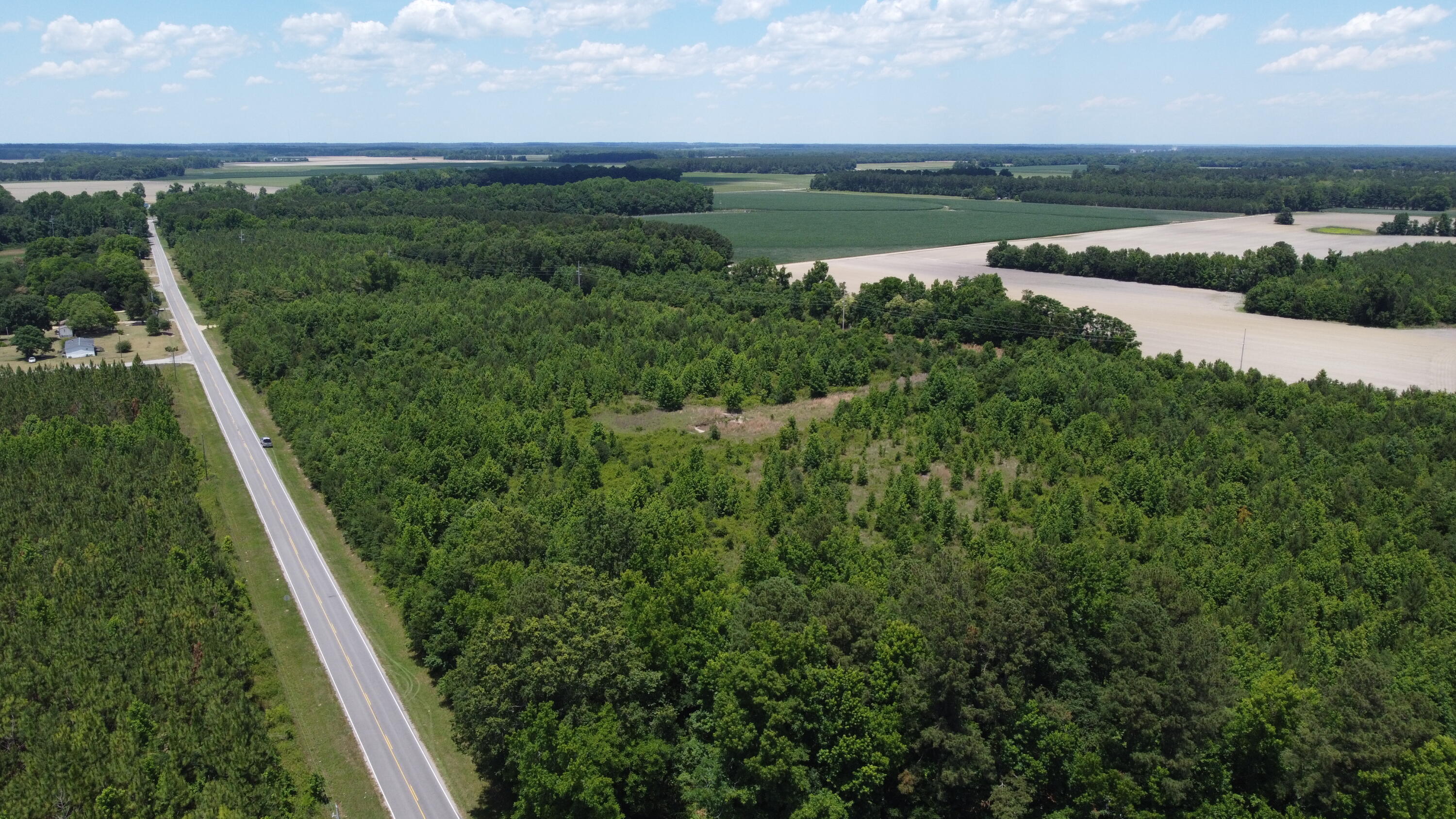 Nates Store Road, Cameron, South Carolina image 31