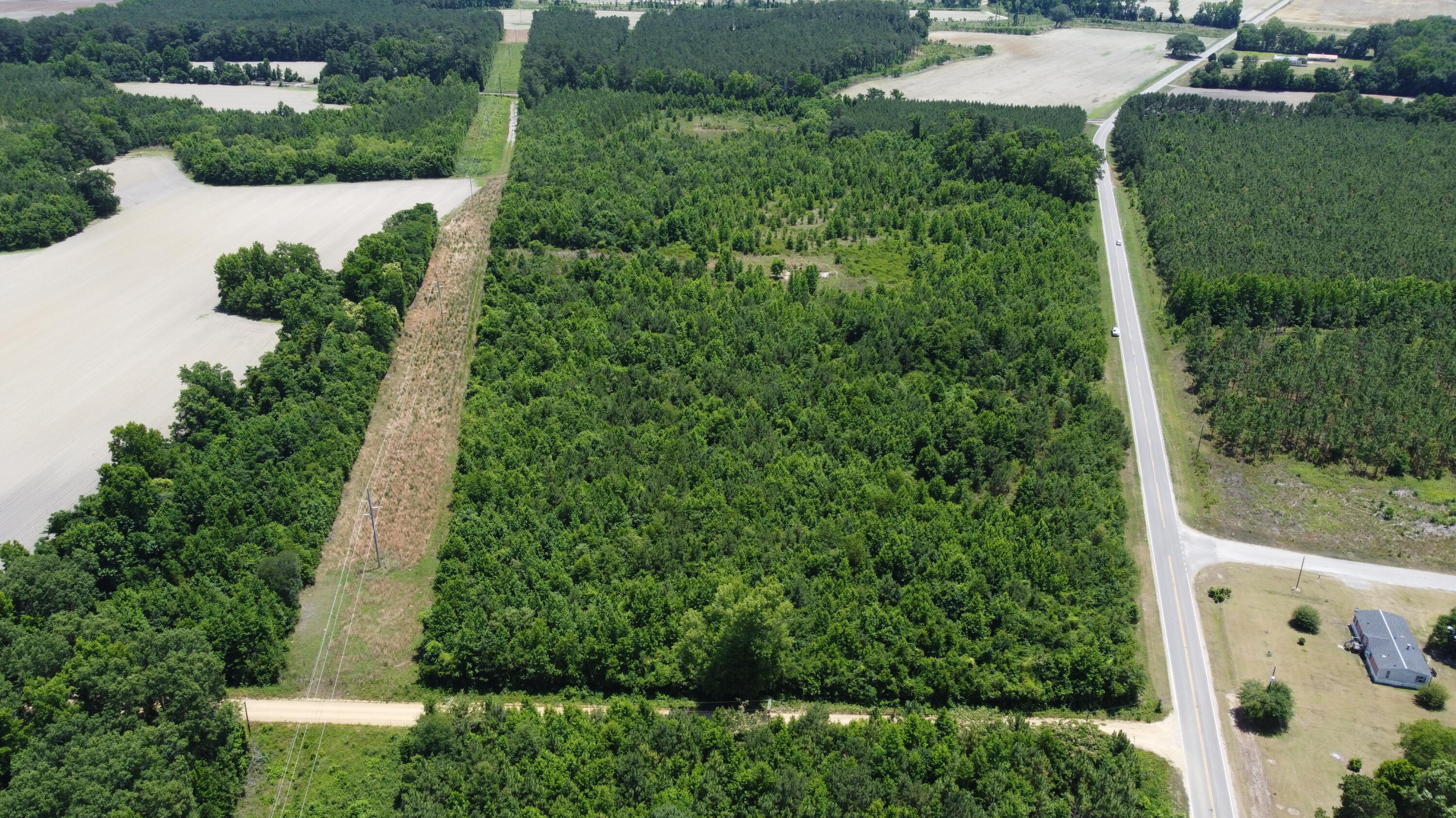 Nates Store Road, Cameron, South Carolina image 23