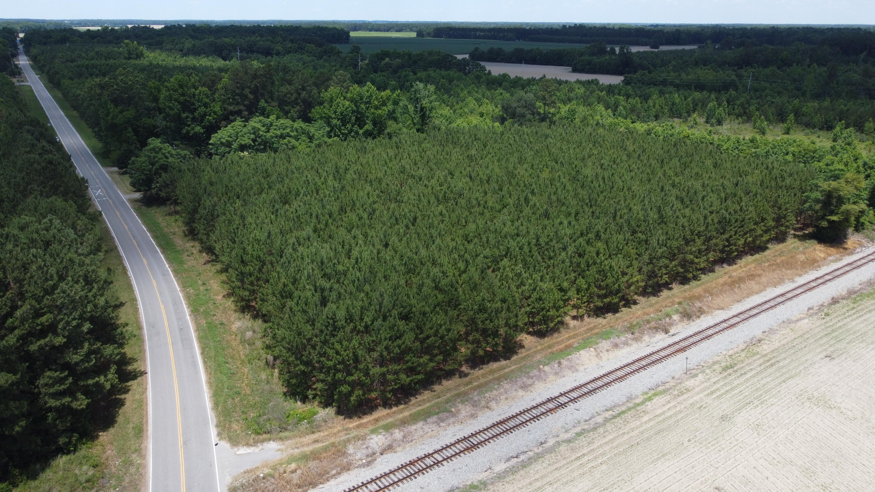 Nates Store Road, Cameron, South Carolina image 6
