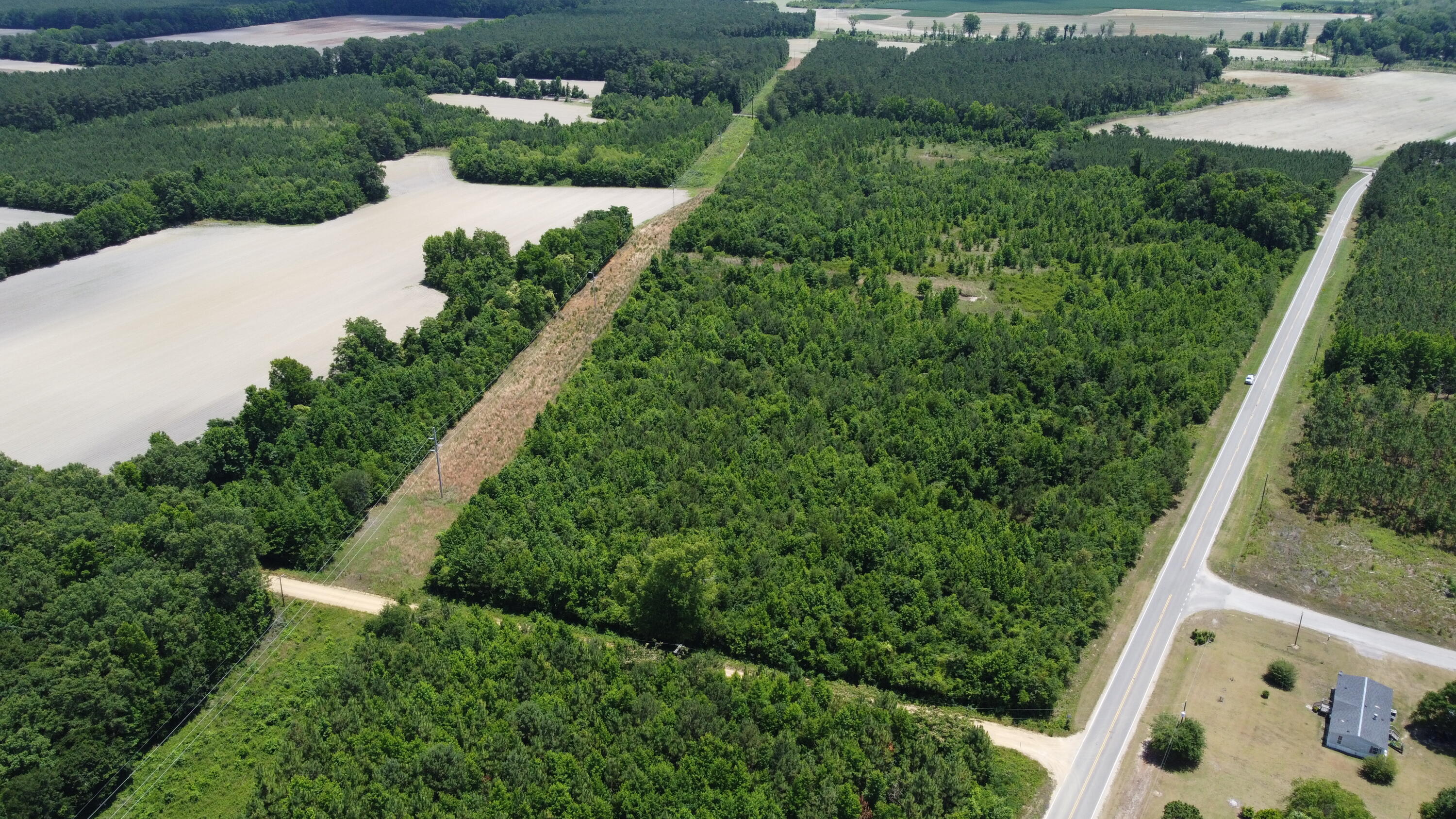 Nates Store Road, Cameron, South Carolina image 22