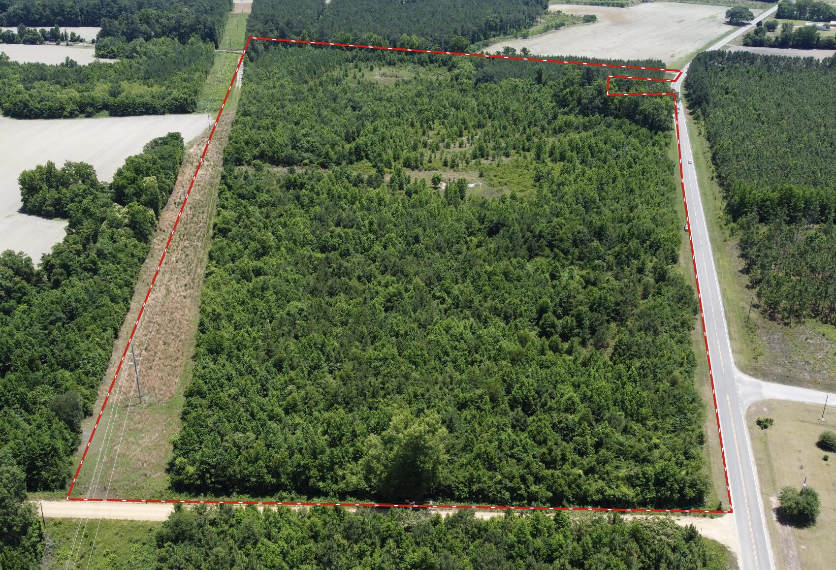 Nates Store Road, Cameron, South Carolina image 32