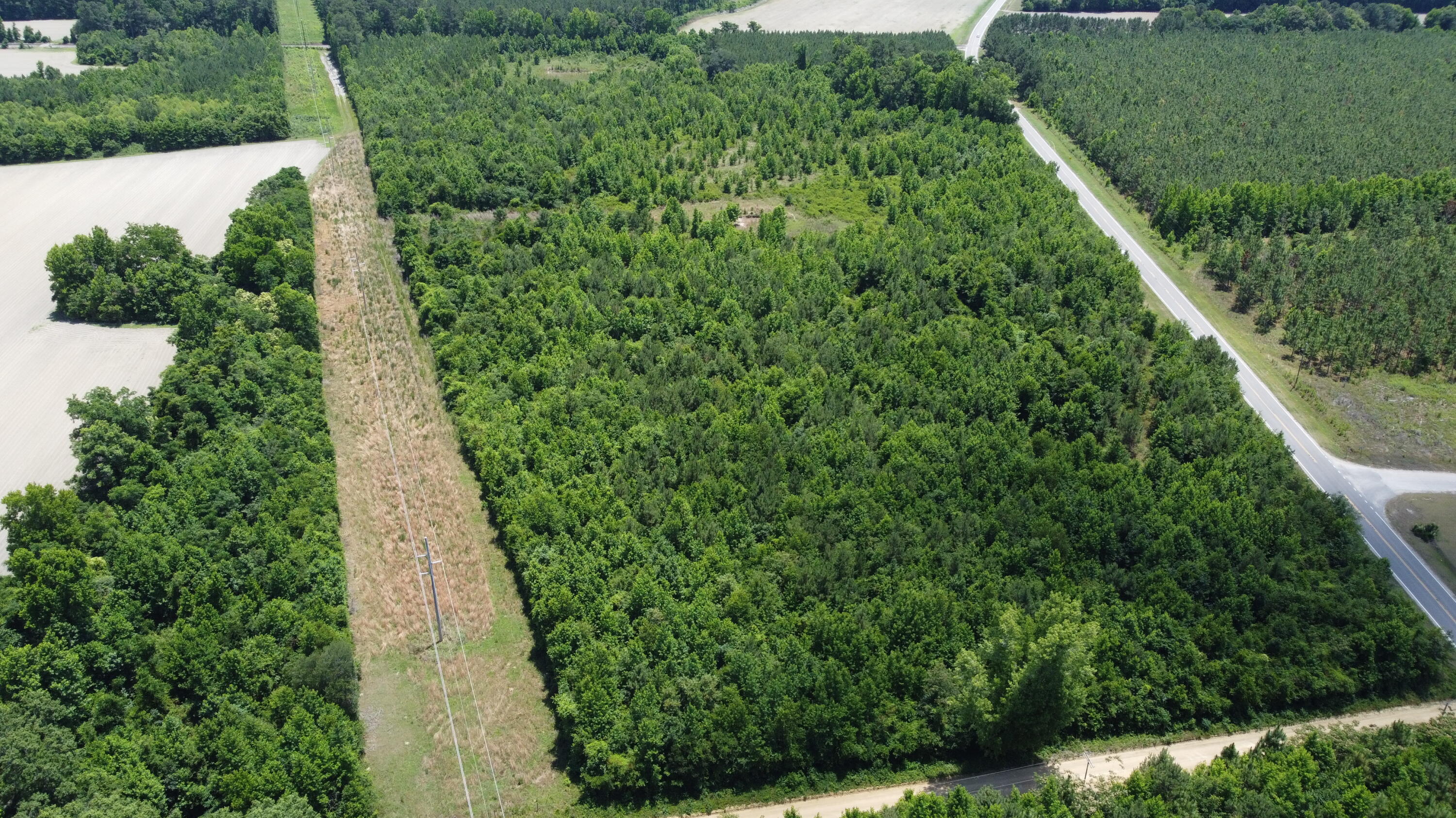 Nates Store Road, Cameron, South Carolina image 24