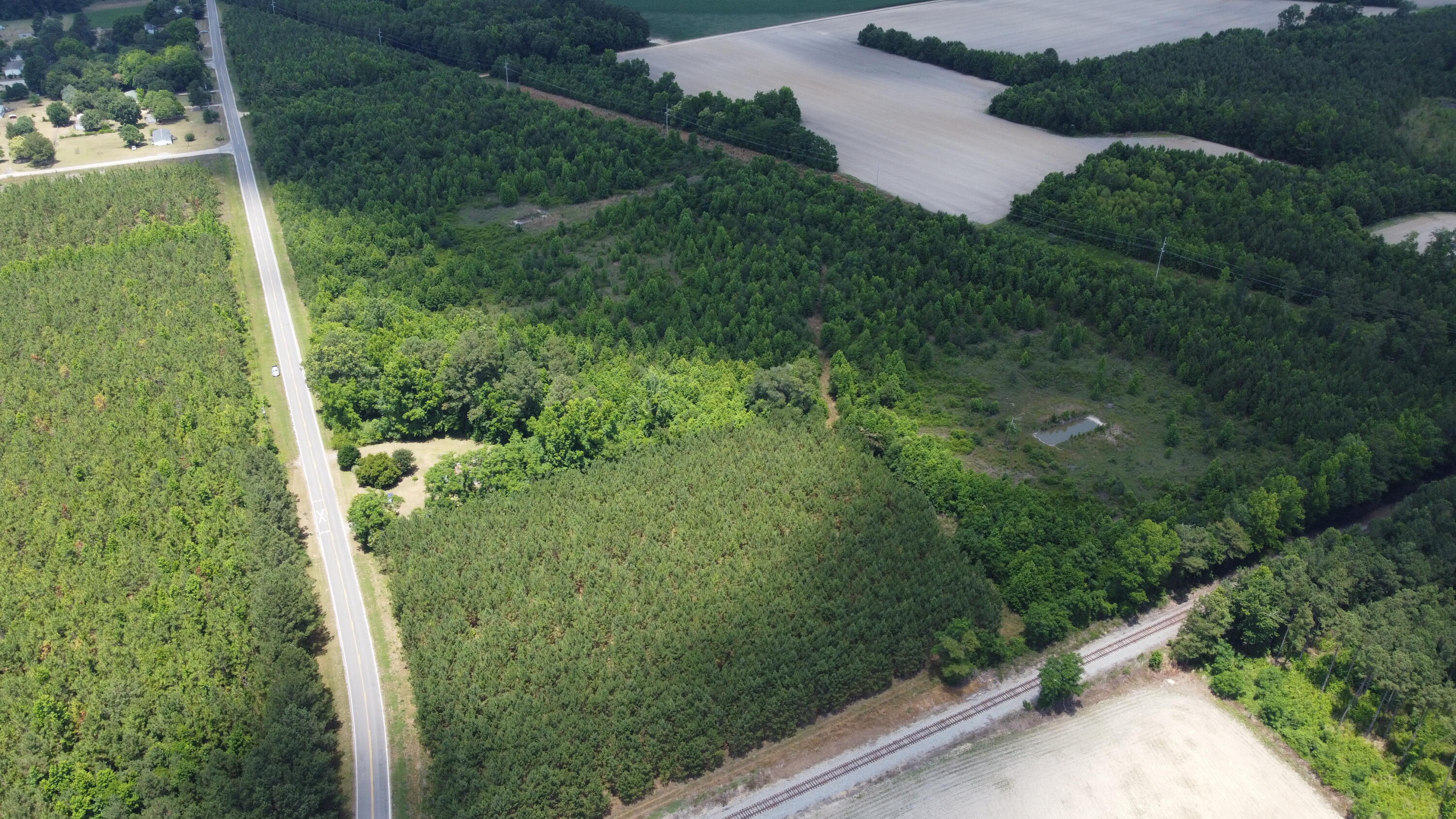 Nates Store Road, Cameron, South Carolina image 5