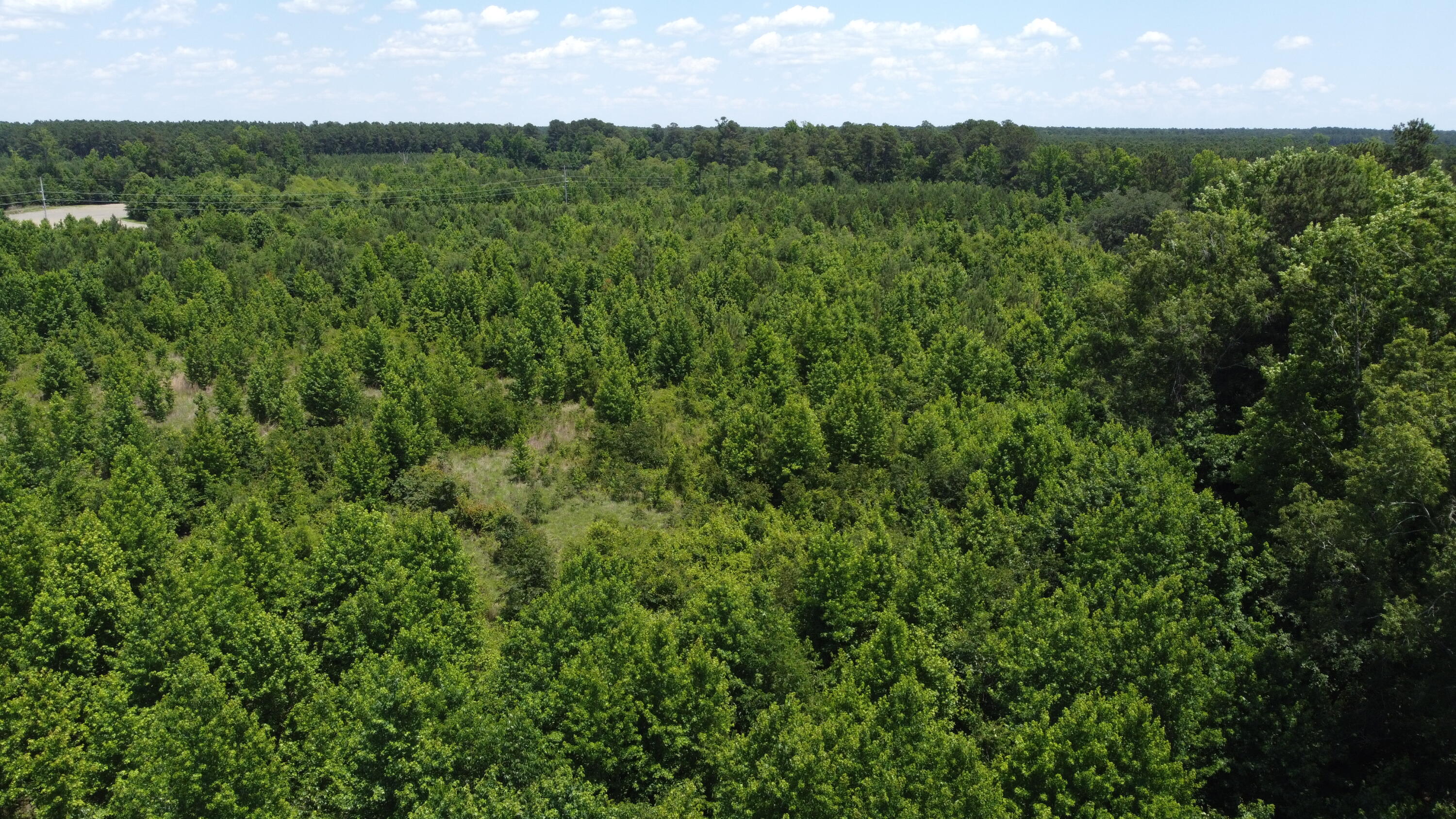Nates Store Road, Cameron, South Carolina image 28